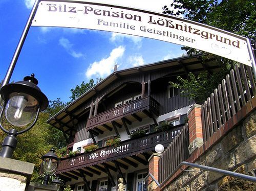 Maison d'hôtes Bilz-pension Radebeul